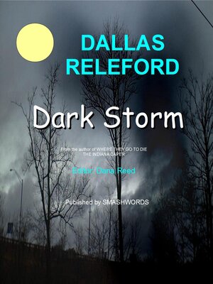 cover image of Dark Storm